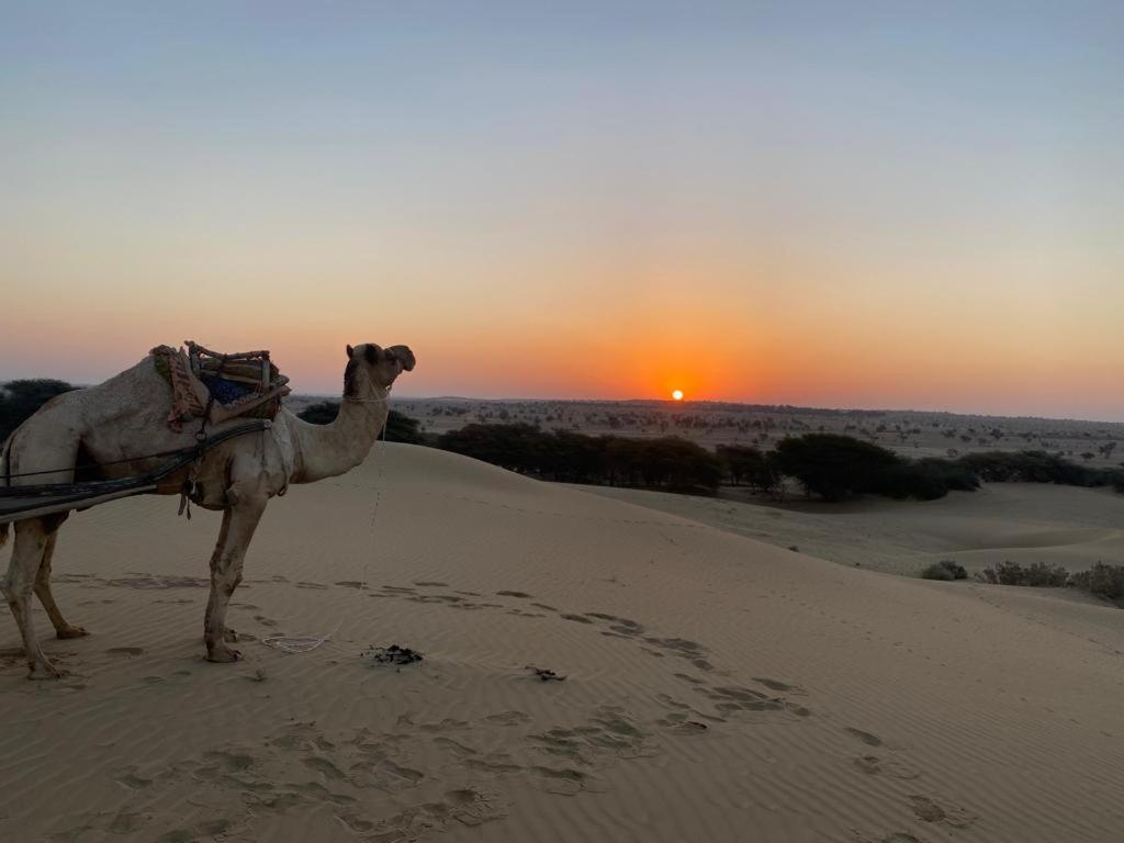 Shiva Guest House Jaisalmer Εξωτερικό φωτογραφία